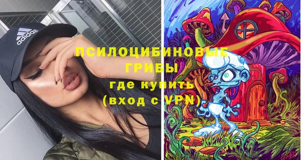 гидра Нязепетровск