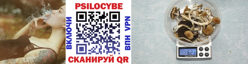 Галлюциногенные грибы Cubensis  Агидель 